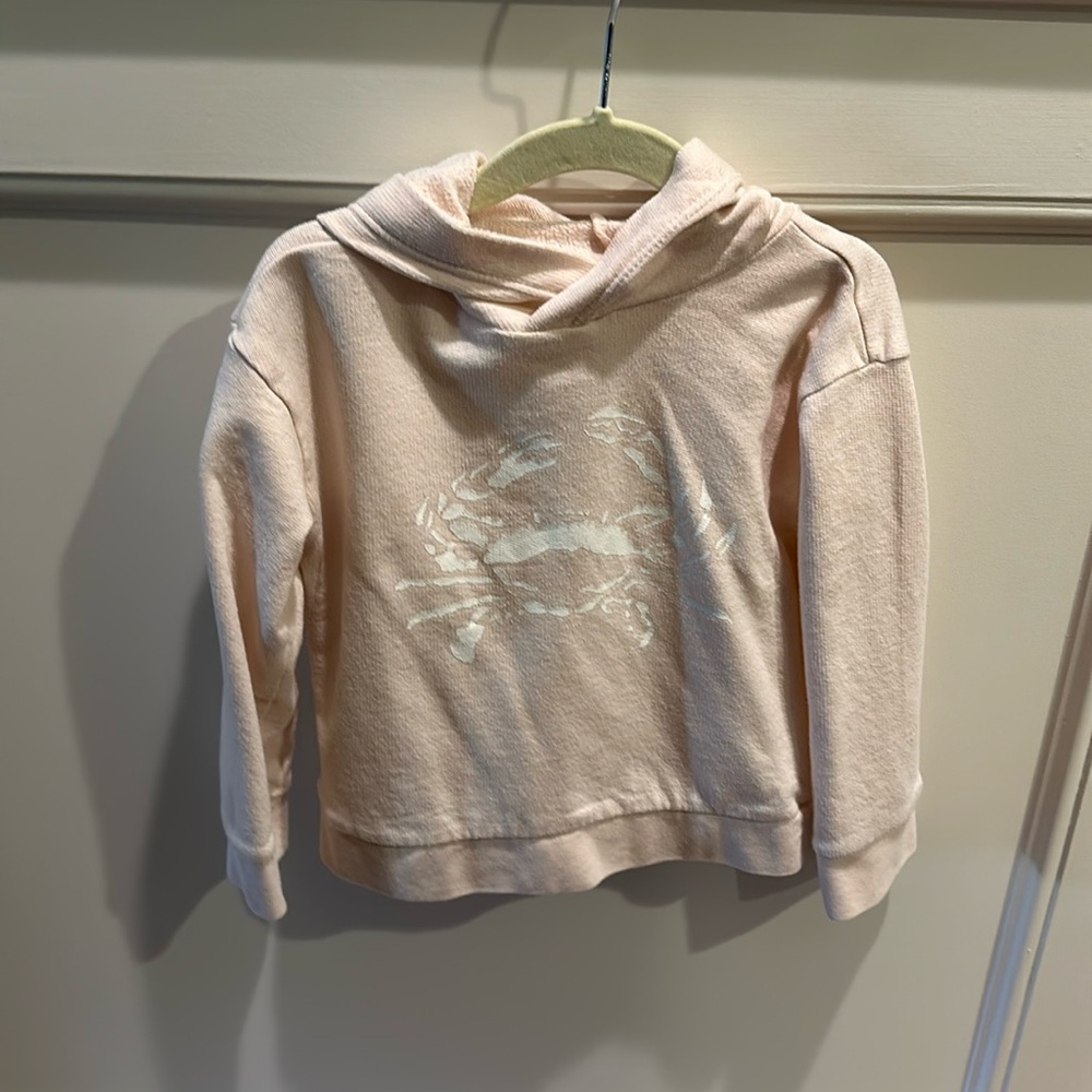 Pink j crew crab hoodie